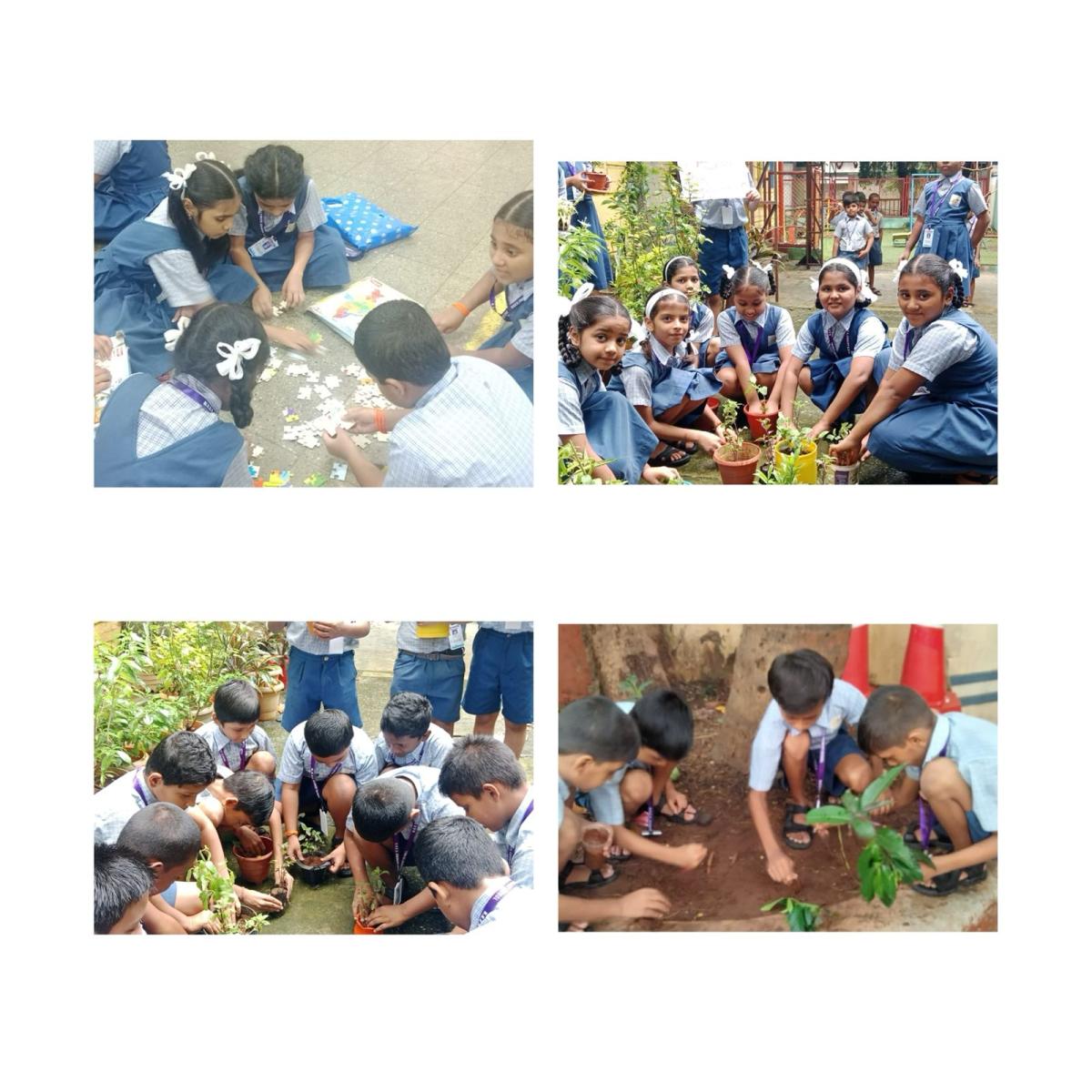NKES Primary Section "Van Mahotsav" 2024